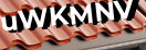 Введите код с картинки