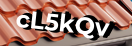Введите код с картинки