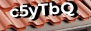 Введите код с картинки