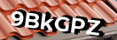Введите код с картинки