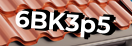 Введите код с картинки