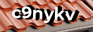 Введите код с картинки