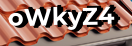 Введите код с картинки