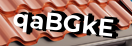 Введите код с картинки