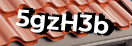 Введите код с картинки