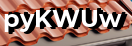 Введите код с картинки