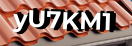 Введите код с картинки
