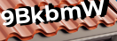 Введите код с картинки