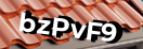 Введите код с картинки