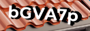 Введите код с картинки