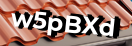 Введите код с картинки