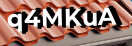 Введите код с картинки