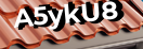 Введите код с картинки