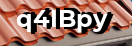 Введите код с картинки
