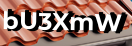 Введите код с картинки
