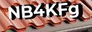 Введите код с картинки