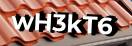Введите код с картинки