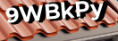 Введите код с картинки