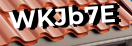 Введите код с картинки