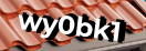 Введите код с картинки