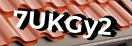 Введите код с картинки