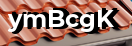 Введите код с картинки