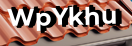 Введите код с картинки