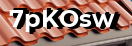 Введите код с картинки