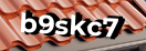 Введите код с картинки