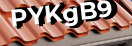 Введите код с картинки