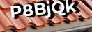 Введите код с картинки