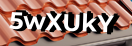 Введите код с картинки