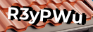Введите код с картинки