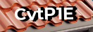 Введите код с картинки