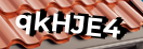 Введите код с картинки