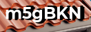 Введите код с картинки