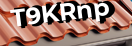 Введите код с картинки
