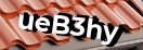 Введите код с картинки