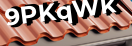Введите код с картинки