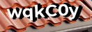 Введите код с картинки