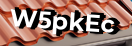Введите код с картинки
