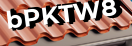 Введите код с картинки