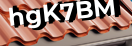 Введите код с картинки
