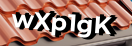 Введите код с картинки