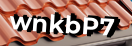 Введите код с картинки