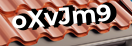 Введите код с картинки