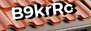 Введите код с картинки