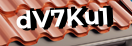 Введите код с картинки