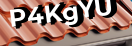 Введите код с картинки