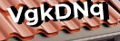 Введите код с картинки